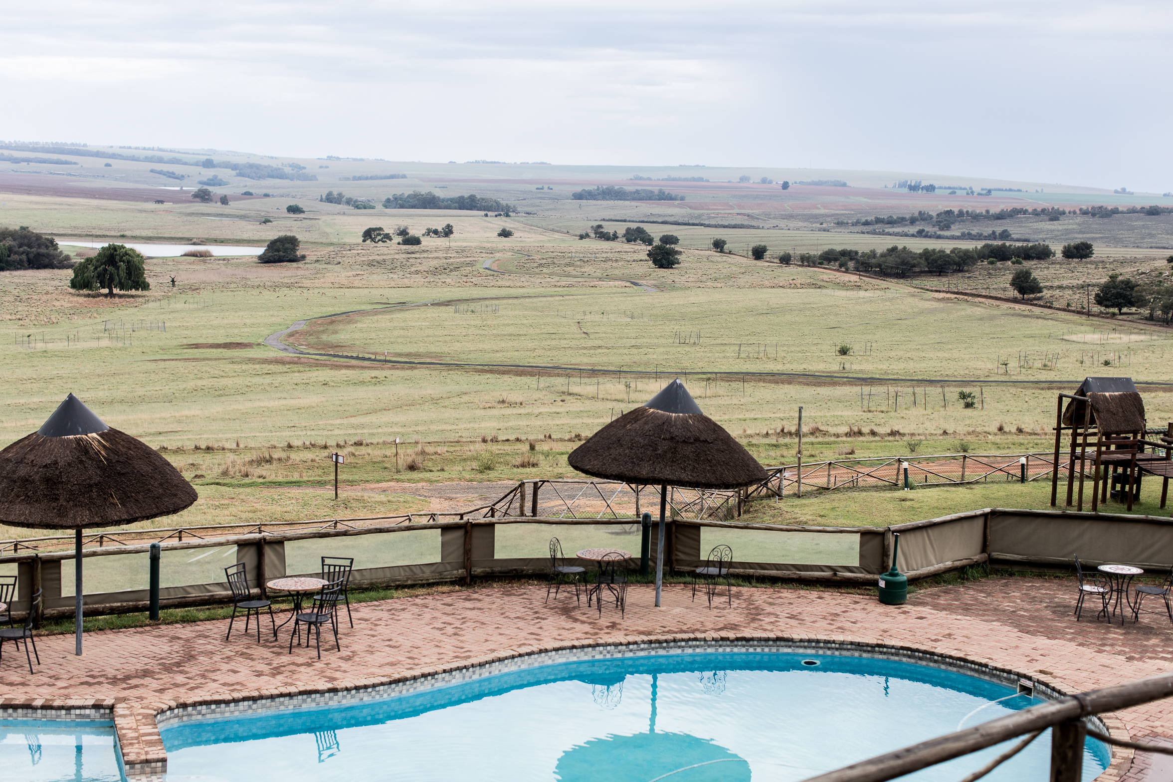 berriespassion_lionsrock-41