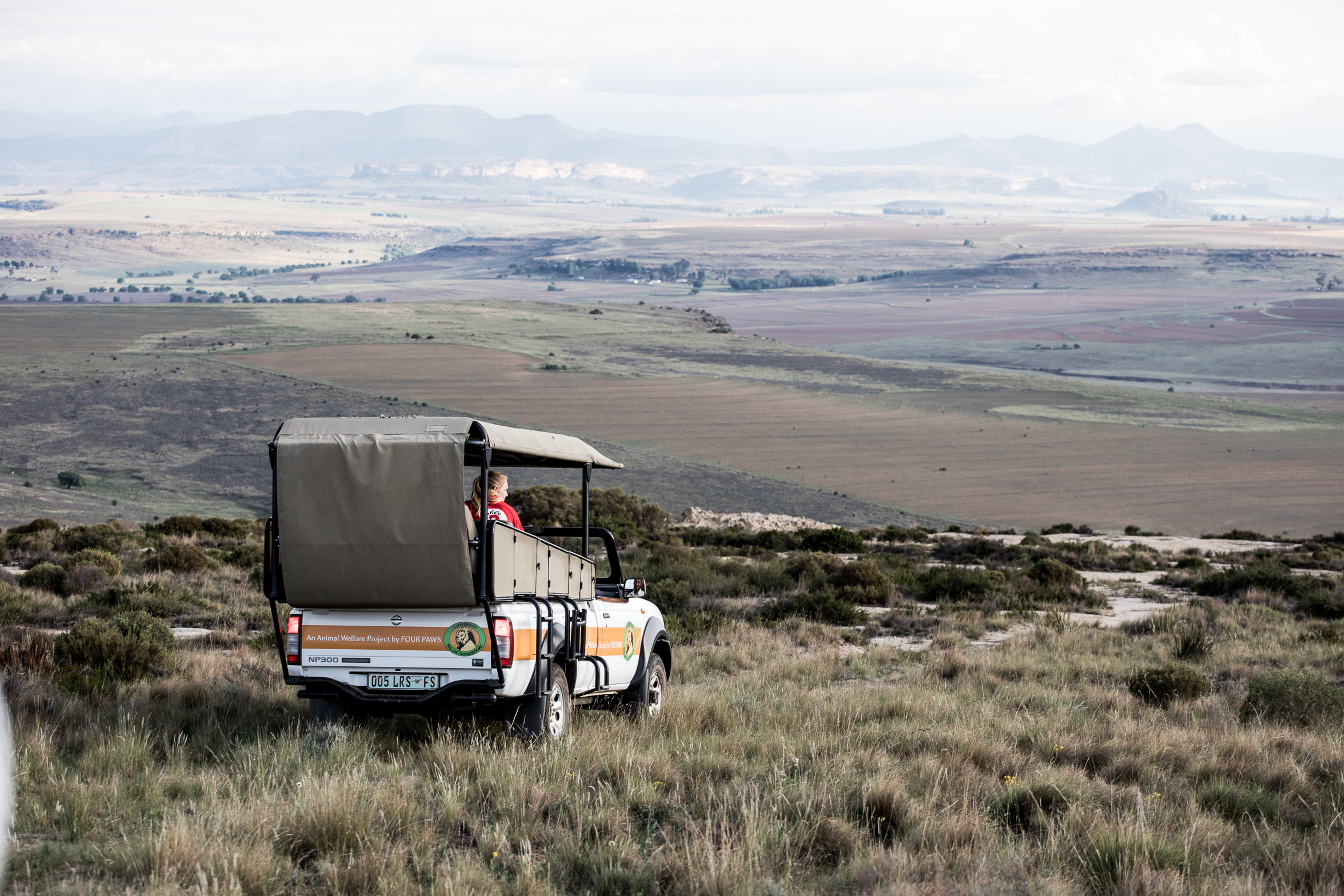 berriespassion_lionsrock-62